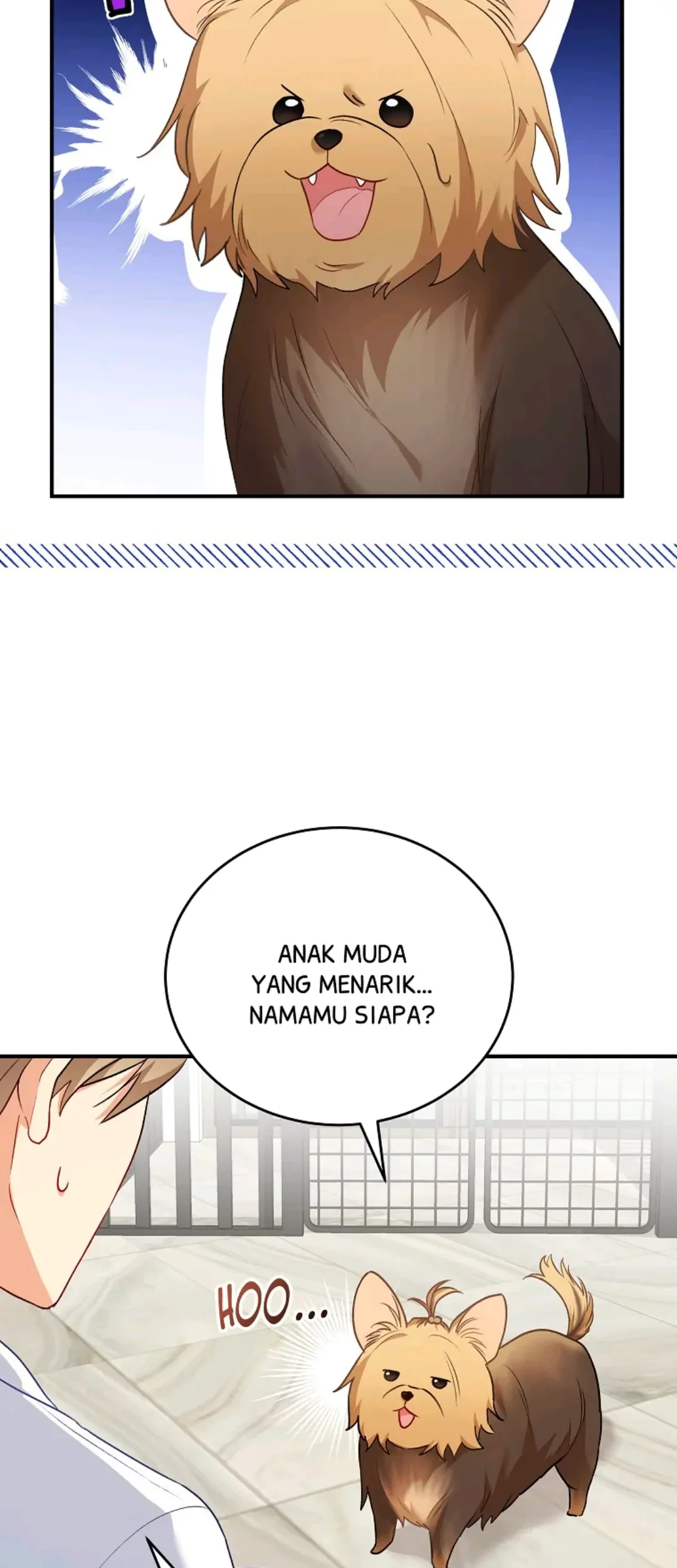 Chapter 2 - halaman 53