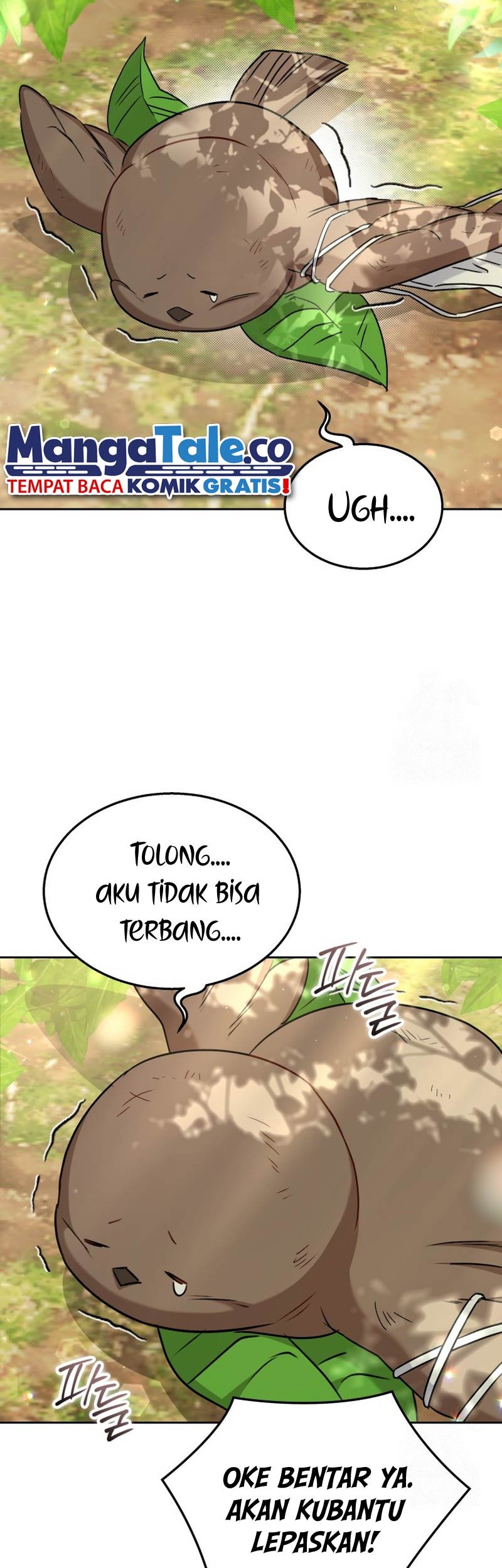 Chapter 62 - halaman 37