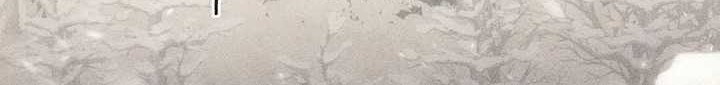 Chapter 1 - halaman 117