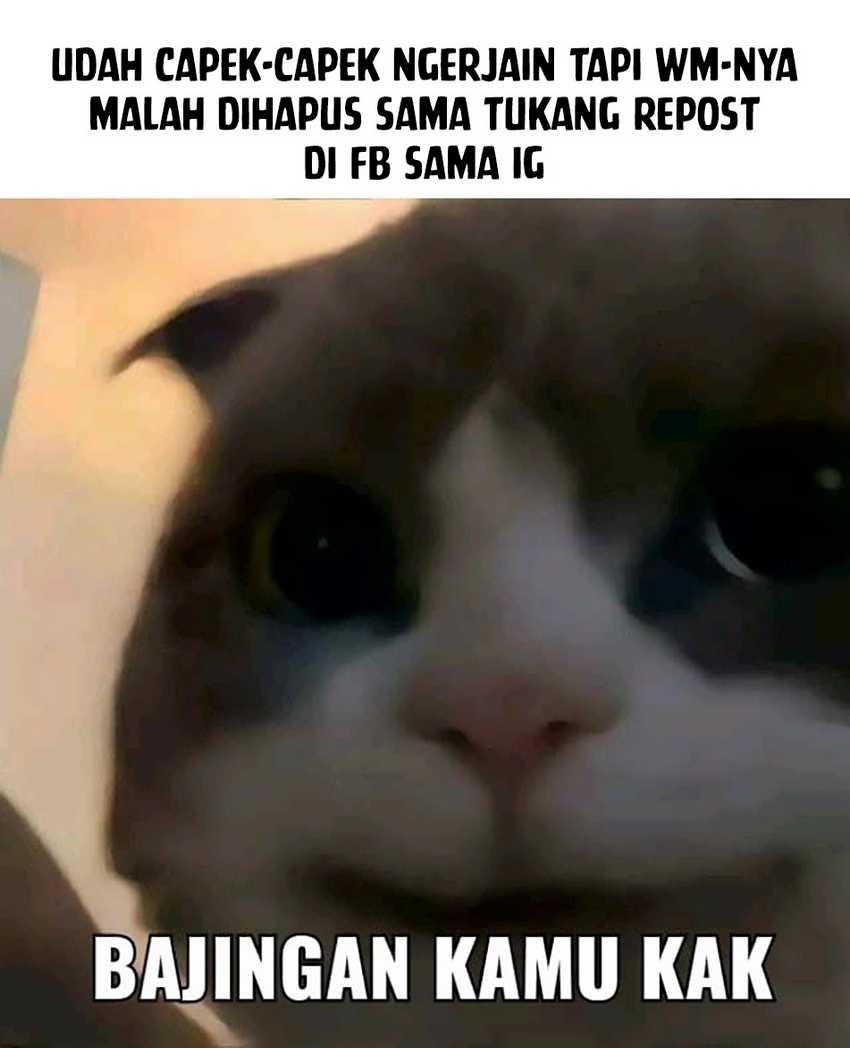Chapter 19.2 - halaman 21