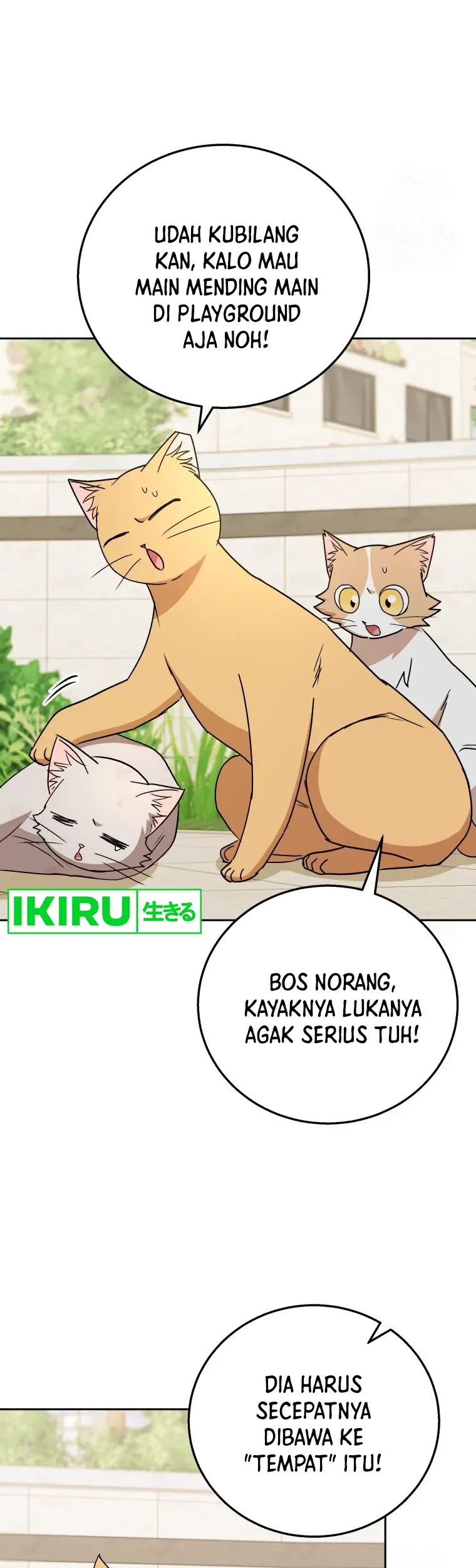 Chapter 81 - halaman 18