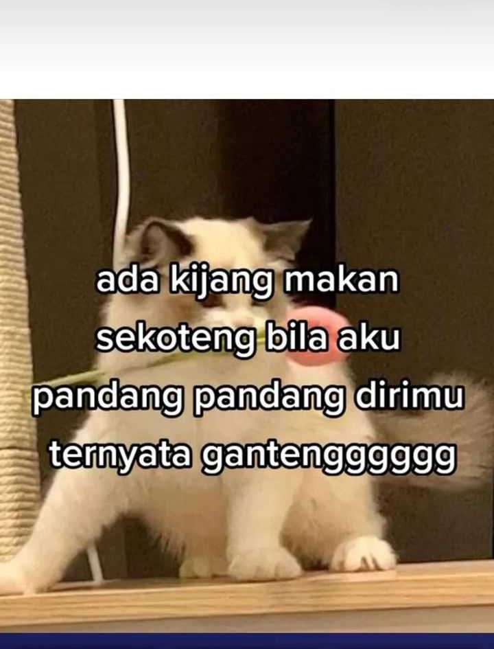 Chapter 17 - halaman 67