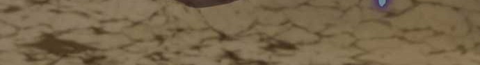 Chapter 131 - halaman 64