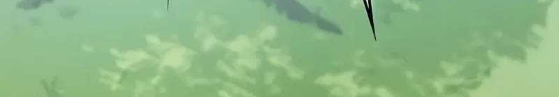 Chapter 33 - halaman 24